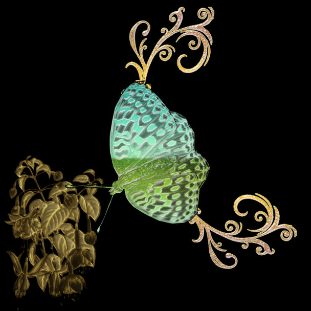 Ιστορικό πεταλούδας - Διάνυσμα, εικόνα