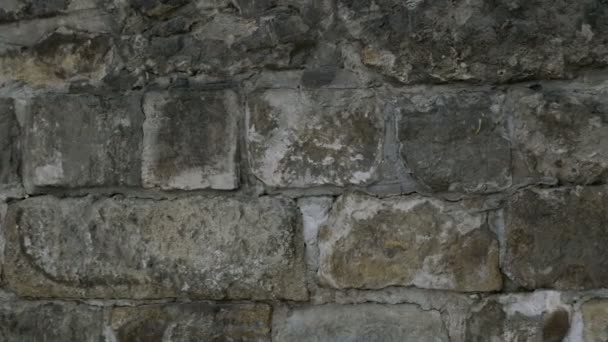  Detalhe da textura da parede de pedra cinza natural. Velho vintage. Prédios de fundo. Close-up
.  - Filmagem, Vídeo