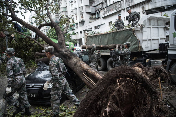 Chinese soldiers of the PLA (People's Liberation Army) Macau Garrison use electric saws to cut off trees uprooted by strong wind caused by Typhoon Hato on a road in Macau, China, 27 August 2017 - Foto, Imagen