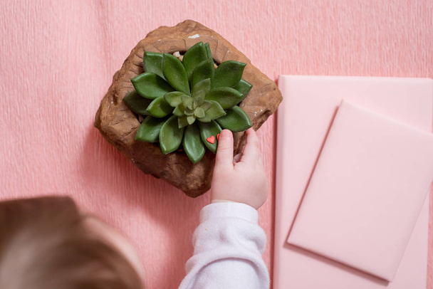 The hand of the little baby. A cute baby. Pink notebook, cactus succulent on a pink background. minimal style. mock-up valentine. - Photo, Image