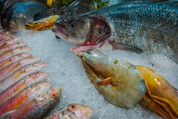 Pescado fresco en el restaurante de mar
 - Foto, Imagen