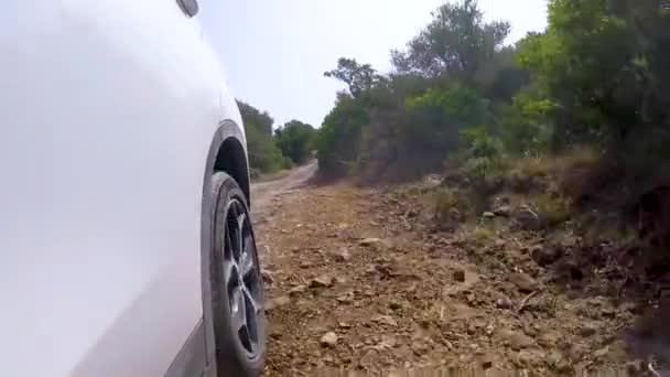 POV, fehér autó vezetés szerte a vidéki földút a napsütéses nap - Felvétel, videó