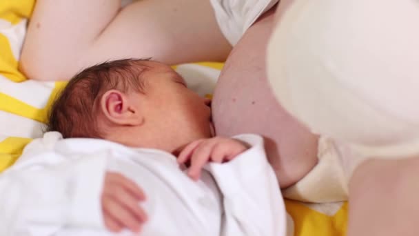 Um bebé a beber do peito da mãe. Bebê chupando bebê. Mãe amamentando e alimentando seu bebê de perto. Conceito de dicas de amamentação. Base da maternidade
. - Filmagem, Vídeo