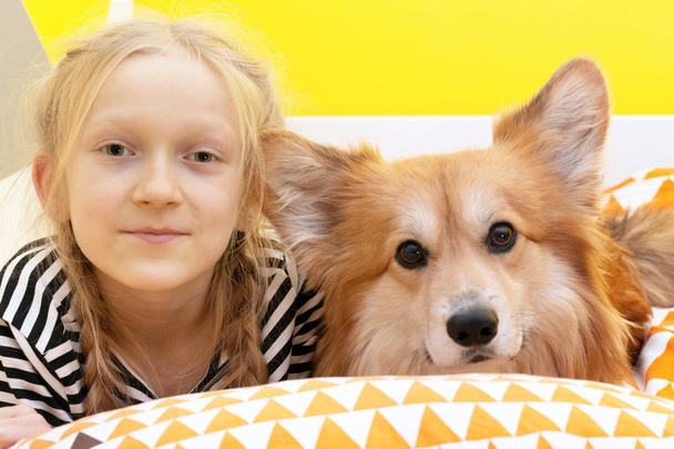 beautiful blond girl and corgi fluffy   in the children's room on the be - Foto, imagen