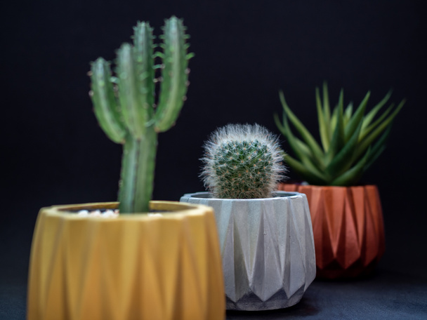 Gold, silver and copper metallic geometric planters on black background. Modern beautiful painted concrete planters and cactus plants or succulent plants. Home and garden decoration concept. - Photo, Image