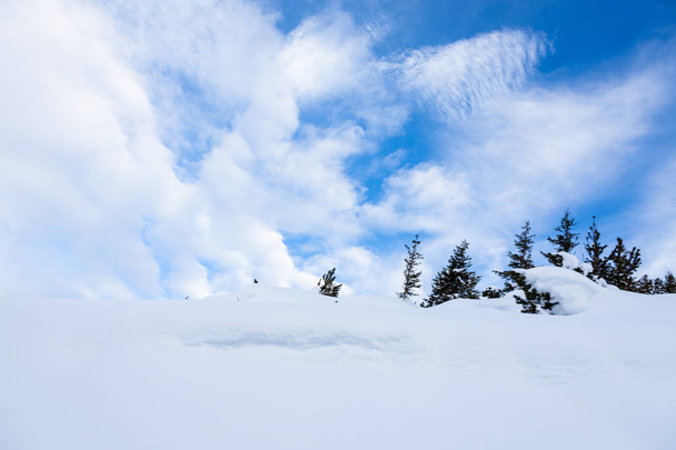 Winter and Snow in Jungrau, Switzerland - Zdjęcie, obraz