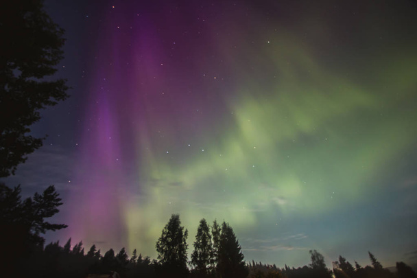 Όμορφο βόρειο σέλας, τα φώτα Βόρεια Καρελία, Ρωσία - Φωτογραφία, εικόνα