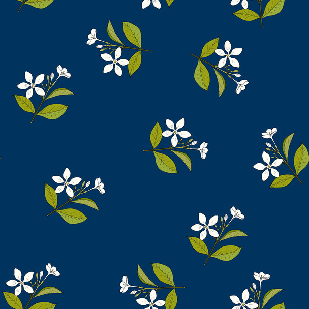 Seamless pattern with hand drawn medicinal herb holarrhena - Vector, afbeelding