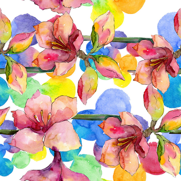 Flor botânica floral amaryllis rosa e roxa. Conjunto de ilustração de fundo aquarela. Padrão de fundo sem costura
. - Foto, Imagem