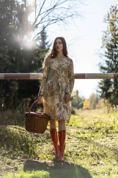 Young woman with long red hair in a linen dress gathering mushrooms in the forest in the bast basket - 写真・画像