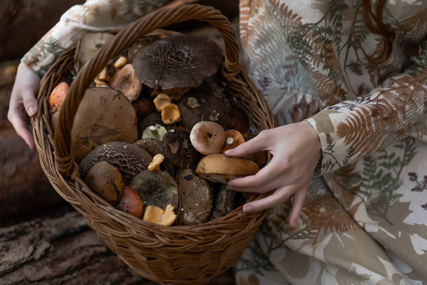 Young woman with long red hair in a linen dress gathering mushrooms in the forest in the bast basket - Foto, Imagem