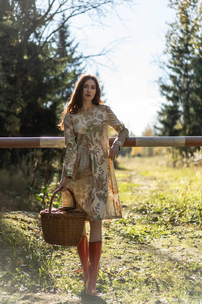 Young woman with long red hair in a linen dress gathering mushrooms in the forest in the bast basket - Фото, зображення