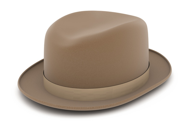 Bruine hoed - Foto, afbeelding