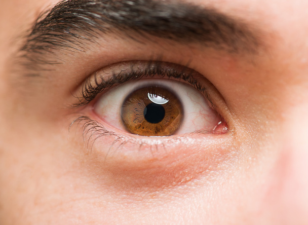 Close Up Of Eyes - Photo, Image