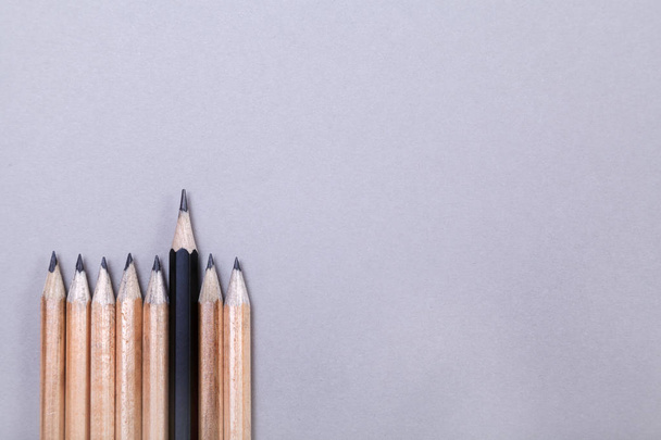 One pencil standing out from the group of other pencil. Leadership and growth in business concept. - Foto, Imagem