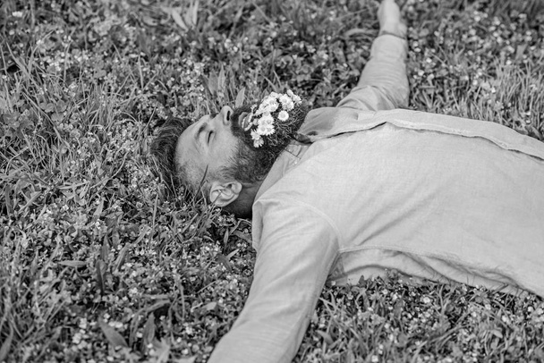 Bearded man with daisy flowers in beard lay on meadow, grass background. Hipster with bouquet of daisies in beard relaxing. Unite with nature concept. Man with beard on smiling face enjoy nature - Zdjęcie, obraz