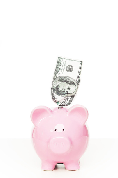 Piggy bank with dollar bill - Fotó, kép