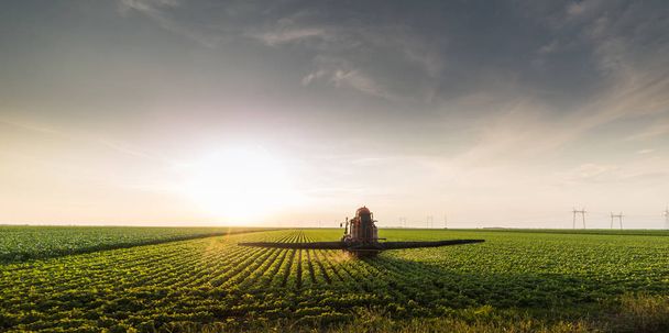 Traktor permetező peszticidek szójabab mezőkön - Fotó, kép