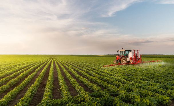 Τρακτέρ ψεκασμού φυτοφαρμάκων σε αγρούς σπόρων σόγιας - Φωτογραφία, εικόνα