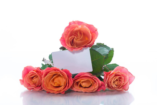 bouquet of beautiful pink roses isolated on white - Foto, Imagem