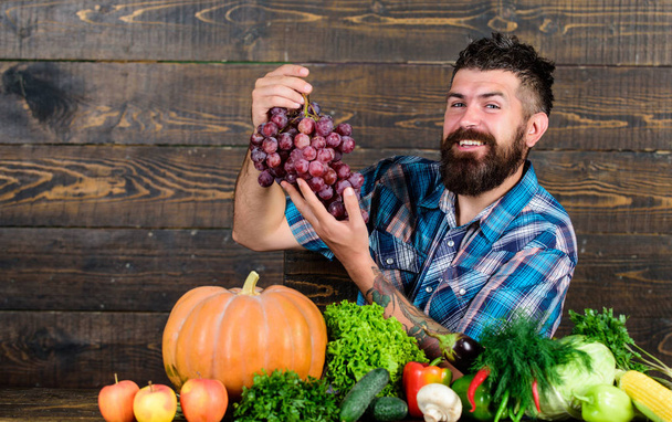 Farming concept. Grapes from own garden. Farmer bearded guy with homegrown harvest on table hold grapes. Farmer proud of grapes harvest. Man hold grapes wooden background. Vegetables organic harvest - Fotoğraf, Görsel