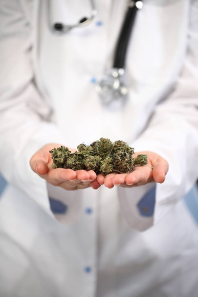 medische marihuana in de hand van een arts. Cannabis alternatieve geneeskunde - Foto, afbeelding