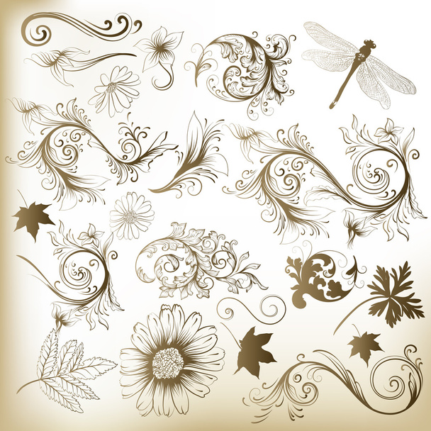 Collection of swirl floral vector elements for design - Vetor, Imagem