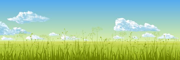 Panorama - yeşil çim, mavi gökyüzü, bulutlar yaz alanıyla. Vektör çizim. - Vektör, Görsel