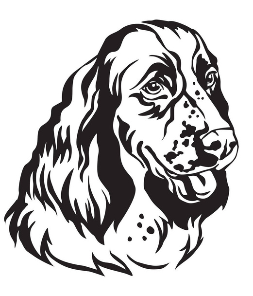 Декоративні портрет про собак Англійська Спрінгер-спаніель, векторні ізольованих ілюстрації в чорного кольору на білому тлі. Зображення для дизайну і татуювання.  - Вектор, зображення