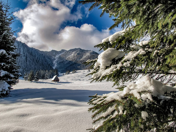 Landscape of beautiful winter in Polish Tatra Mountains. - Фото, изображение
