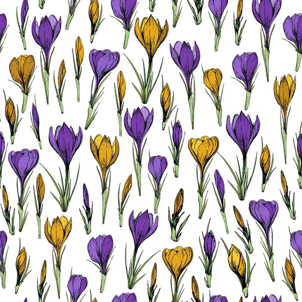 Seamless pattern with purple and yellow crocus flowers. Hand drawn vector illustration. - Vector, imagen