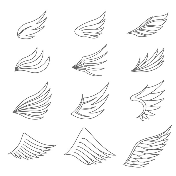 Satz von grauen Linien Flügel auf weißem Hintergrund - Vektor, Bild