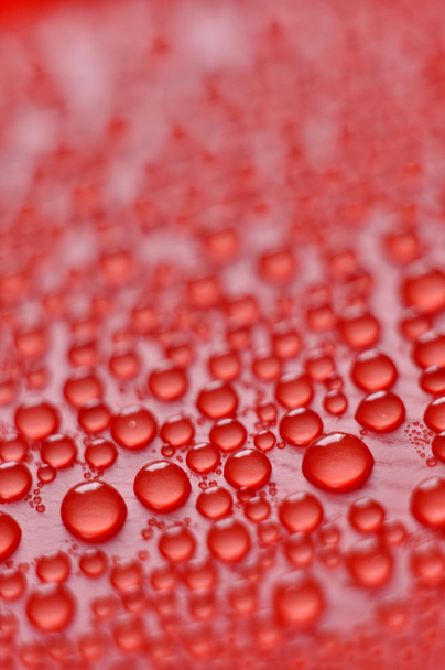 Red Droplets - Photo, image
