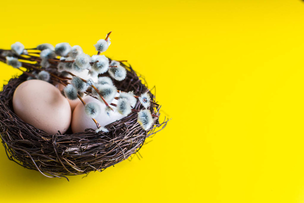 kurczak jaj w gnieździe z gałązka wierzby. Happy Easter koncepcja. - Zdjęcie, obraz