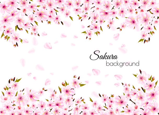 Takken van een bloeiende sakura achtergrond. Vector. - Vector, afbeelding