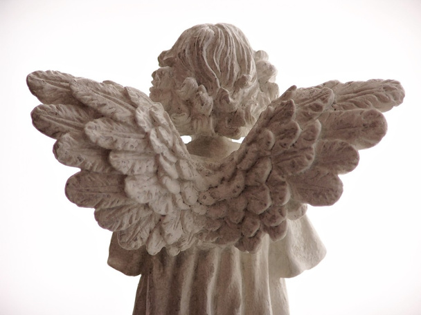 angyal szárnyak - Fotó, kép