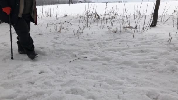 Lager deel van een man dragen Valenok (soort van vilt laarzen) lopen op een sneeuw bedekt voetpad met wandelstok - Video