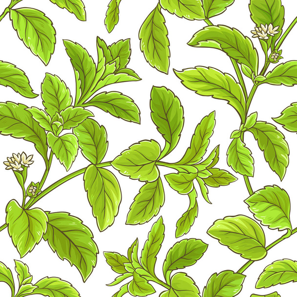 stevia branch vector pattern on white background - Vektor, Bild
