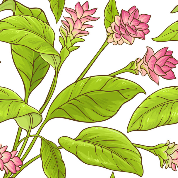 turmeric plant vector pattern on white background - Вектор,изображение