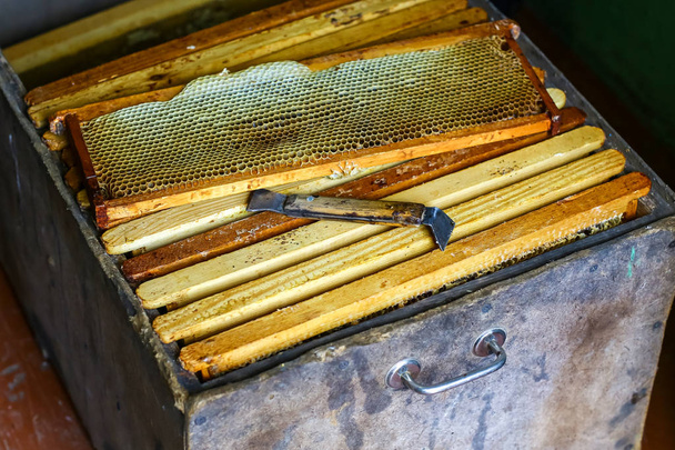Apicultor a trabalhar na colmeia. equipamento de apicultura na velha mesa de madeira. - Foto, Imagem