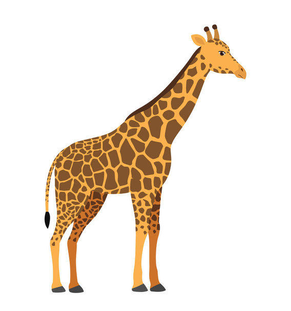 Cute giraffe vector illustration isolated on white - Vetor, Imagem