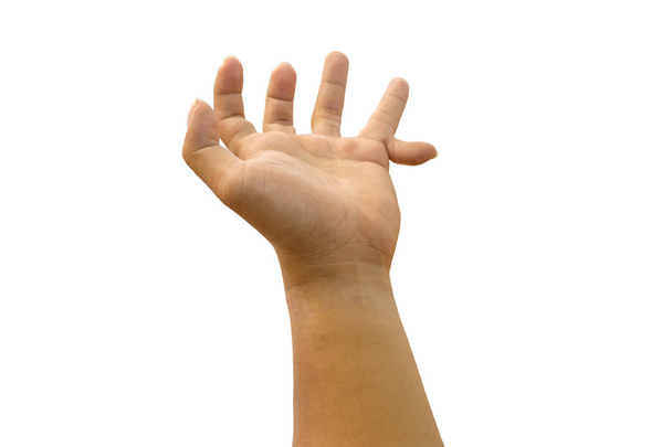 vrai six doigt main humaine sur fond blanc
 - Photo, image