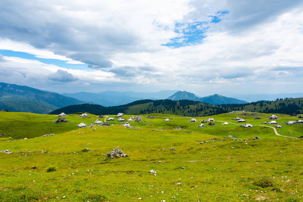 Slovenia mountains near the Kamnik city on Velika Planina pasture land. View of mountains with white clouds and blue sky, mist in the hill. Beautiful and tranquil nature, fresh grass. - Фото, изображение
