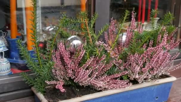schön dekoriertes Fenster mit Lavendel auf dem Weihnachtsmarkt in Nürnberg - Filmmaterial, Video