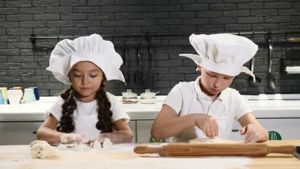 Crianças pré-escolares adoráveis jogando chefs reais na cozinha privada. Crianças em aventais brancos e chapéus de chef usando rolo e massa para cozinhar torta de férias para a festa da família. 4k
 - Filmagem, Vídeo