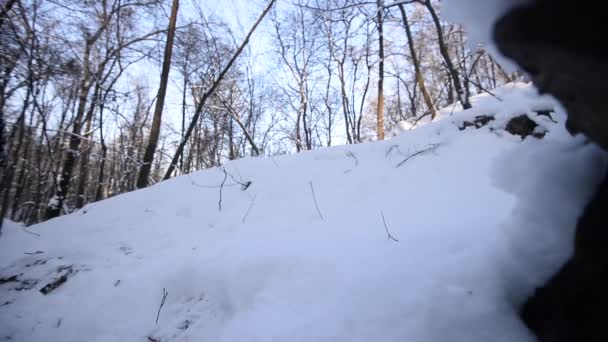 Ο άνθρωπος με ένα όπλο στα χέρια του πέφτει στο χιόνι - Πλάνα, βίντεο