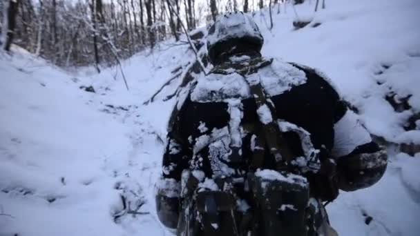 Άνδρας περπατά μέσα από ένα χιονισμένο δάσος. Θέα από το πίσω μέρος - Πλάνα, βίντεο