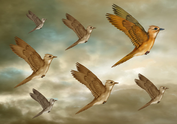 στυλιζαρισμένη σμήνος πουλιών - Φωτογραφία, εικόνα