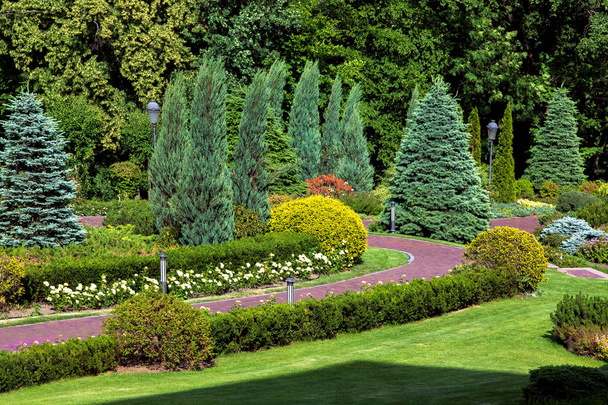 ランドス ケープ デザインと散歩、花と花のベッドと松の木と thuja 茂みの散歩道のある公園. - 写真・画像