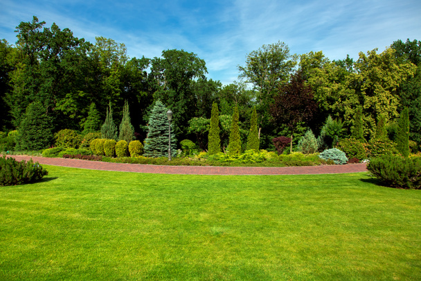 landscape design of the park with a walkway along the green plantations of bushes and trees with a lawn. - 写真・画像